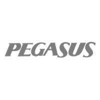 Pegasus - Liderler Toplantısı